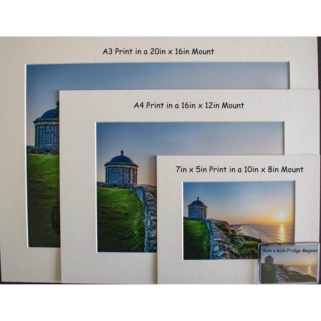 Carrick a Rede Rope Bridge Print-Eoin Mc Connell Photography-Artisan Market Online