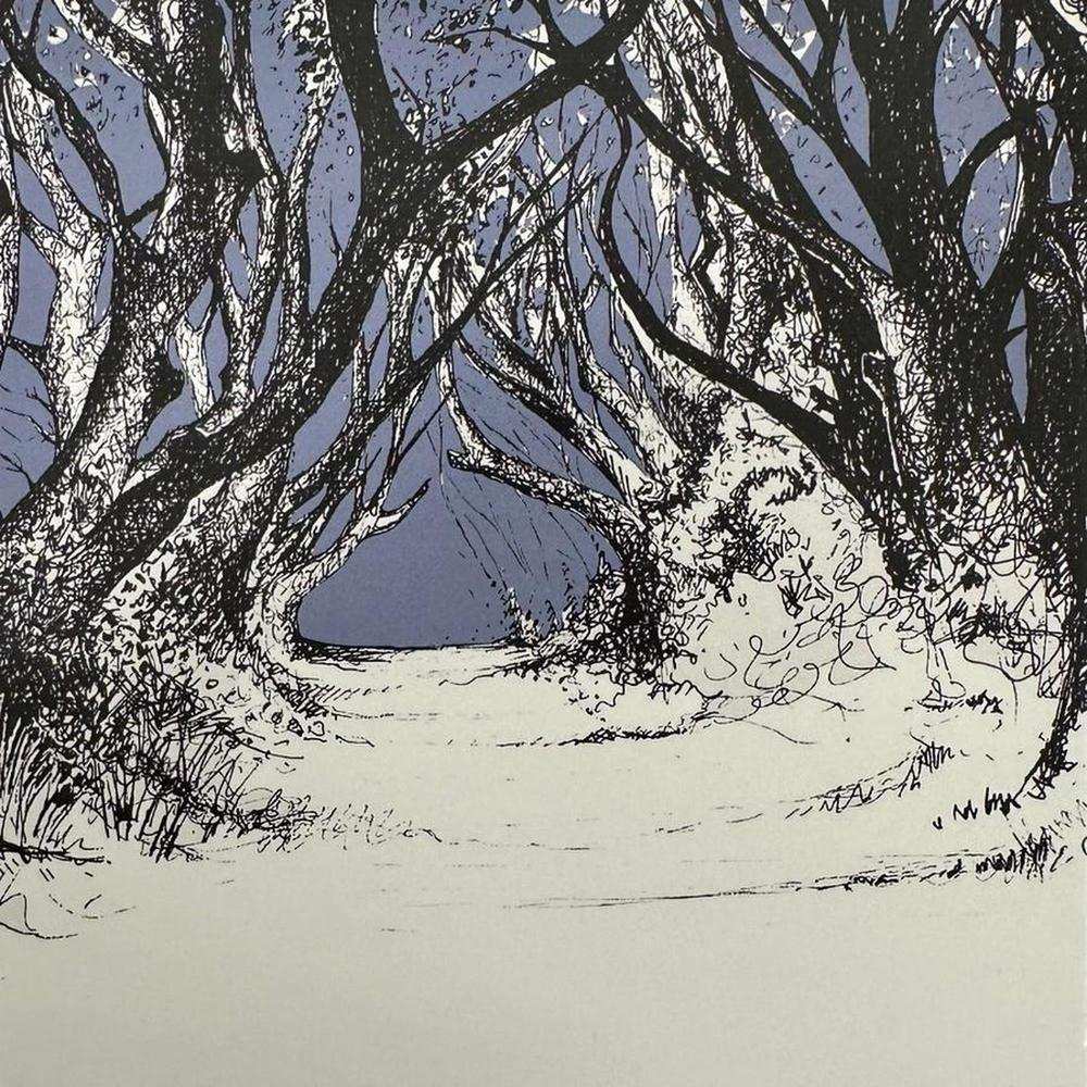 Frankie Creith digital print of The Dark Hedges beech tree tunnel in black framed box with mount