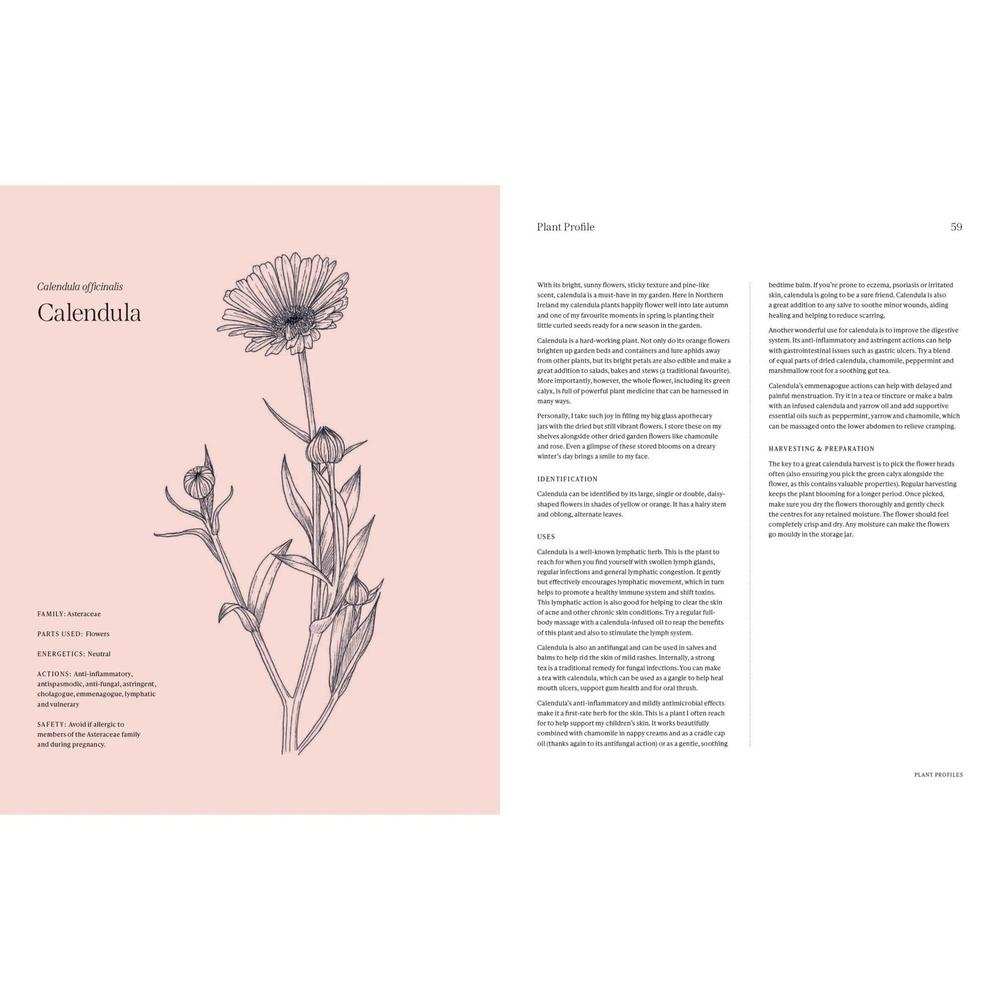 Garden Apothecary: Transform Flowers, Weeds and Plants into Healing Remedies-Broughgammon Farm-Basalt and Oak