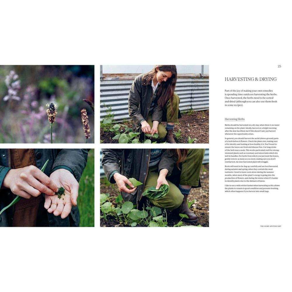 Garden Apothecary: Transform Flowers, Weeds and Plants into Healing Remedies-Broughgammon Farm-Basalt and Oak