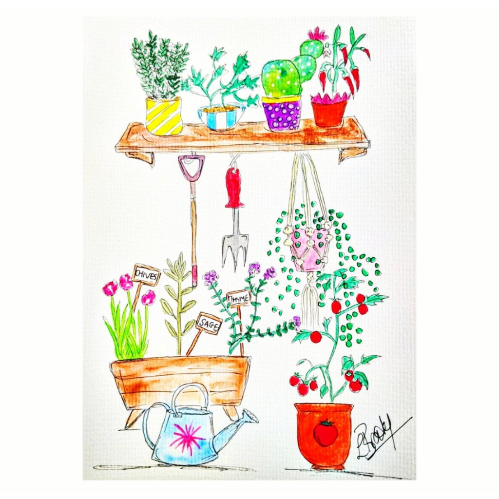 Potting Shed Limited Edition Print-North Coast Captured-Artisan Market Online