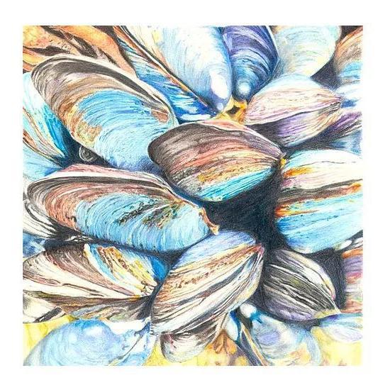 Victoria Blacker Nature Prints-Victoria Blacker Art-Artisan Market Online