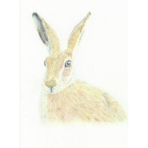 Wildlife Prints-Victoria Blacker Art-Artisan Market Online