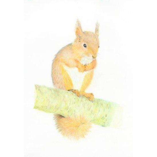 Wildlife Prints-Victoria Blacker Art-Artisan Market Online