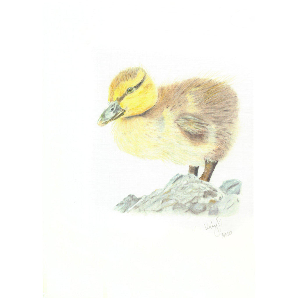 Wildlife Prints-Victoria Blacker Art-Artisan Market Online