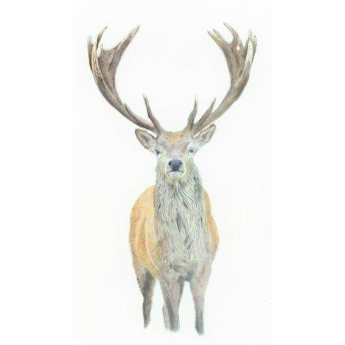 Wildlife Prints-Victoria Blacker Art-Artisan Market Online