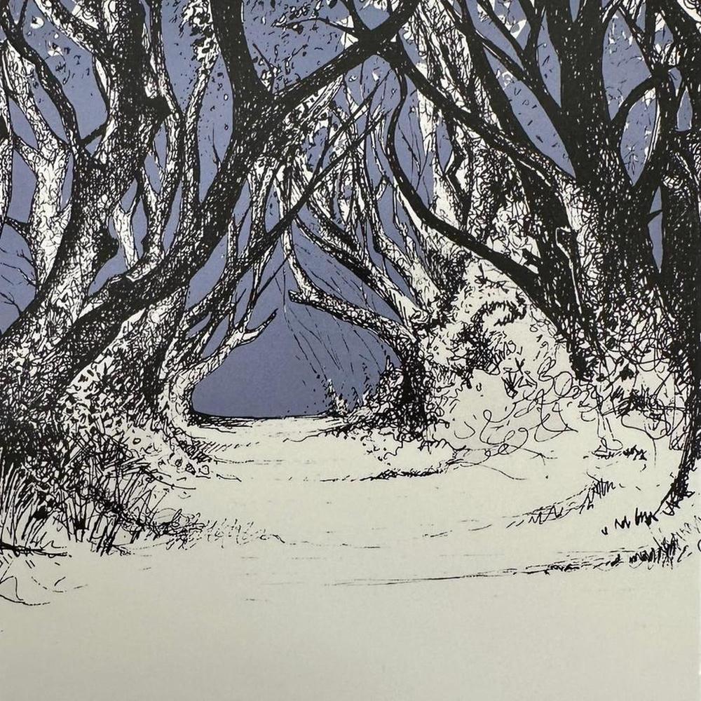 Frankie Creith THE DARK HEDGES Box Framed Mini Print-Artist Frankie Creith-Basalt and Oak