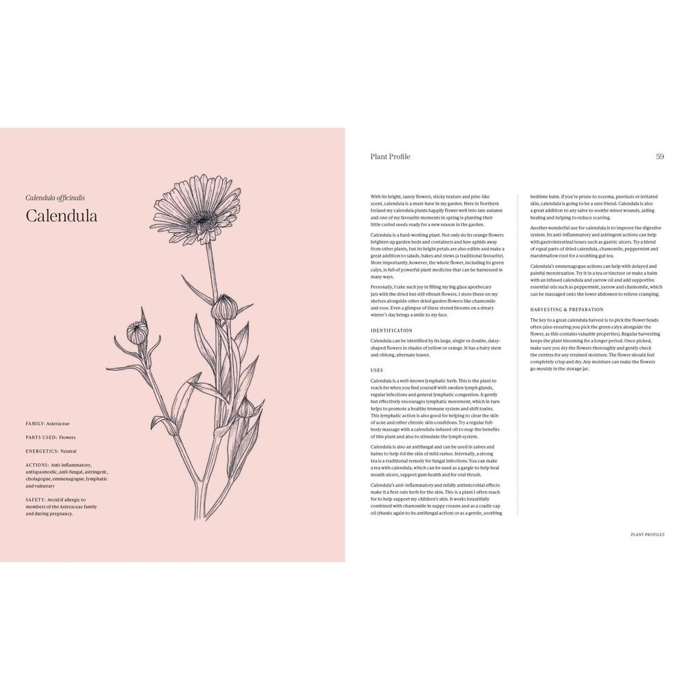 Garden Apothecary: Transform Flowers, Weeds and Plants into Healing Remedies-Broughgammon Farm-Basalt and Oak