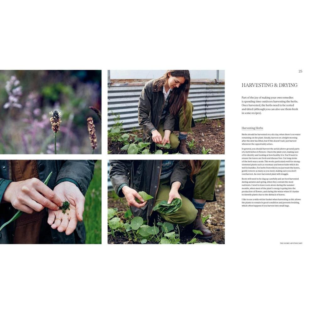Garden Apothecary: Transform Flowers, Weeds and Plants into Healing Remedies-Broughgammon Farm-Basalt and Oak